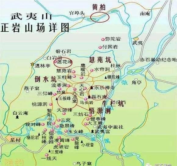 300塊錢的金駿眉能喝嗎，兩三百多金駿眉和一千多區(qū)別