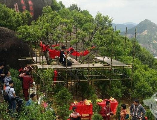 宋種一號(hào)價(jià)值為什么高，鳳凰單樅宋種1號(hào)價(jià)格與產(chǎn)量多少？