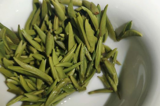 竹葉青茶怎么泡，竹葉青如何沖泡