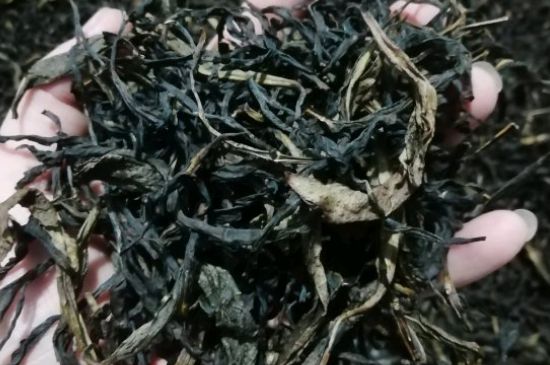 蜜蘭香好還是鴨屎香好，鳳凰單叢茶蜜蘭香和鴨屎香特點有哪些？