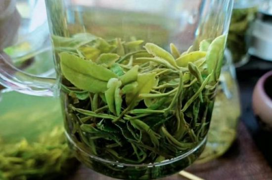 什么綠茶味道濃香，那個綠茶比較濃香？