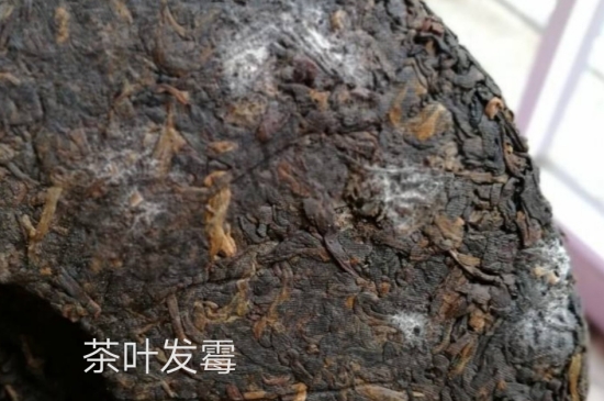 西湖龍井茶毫和發(fā)霉區(qū)別圖片，長(zhǎng)霉的龍井茶葉會(huì)是什么樣？
